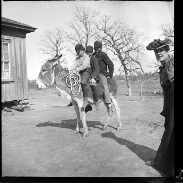 Emmy, the donkey, Fred, Johnnie, Dallas, our room, Guion, Texas, Février, Mars 1900