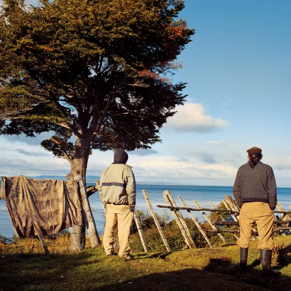 CHILI. Valdivia. 2007