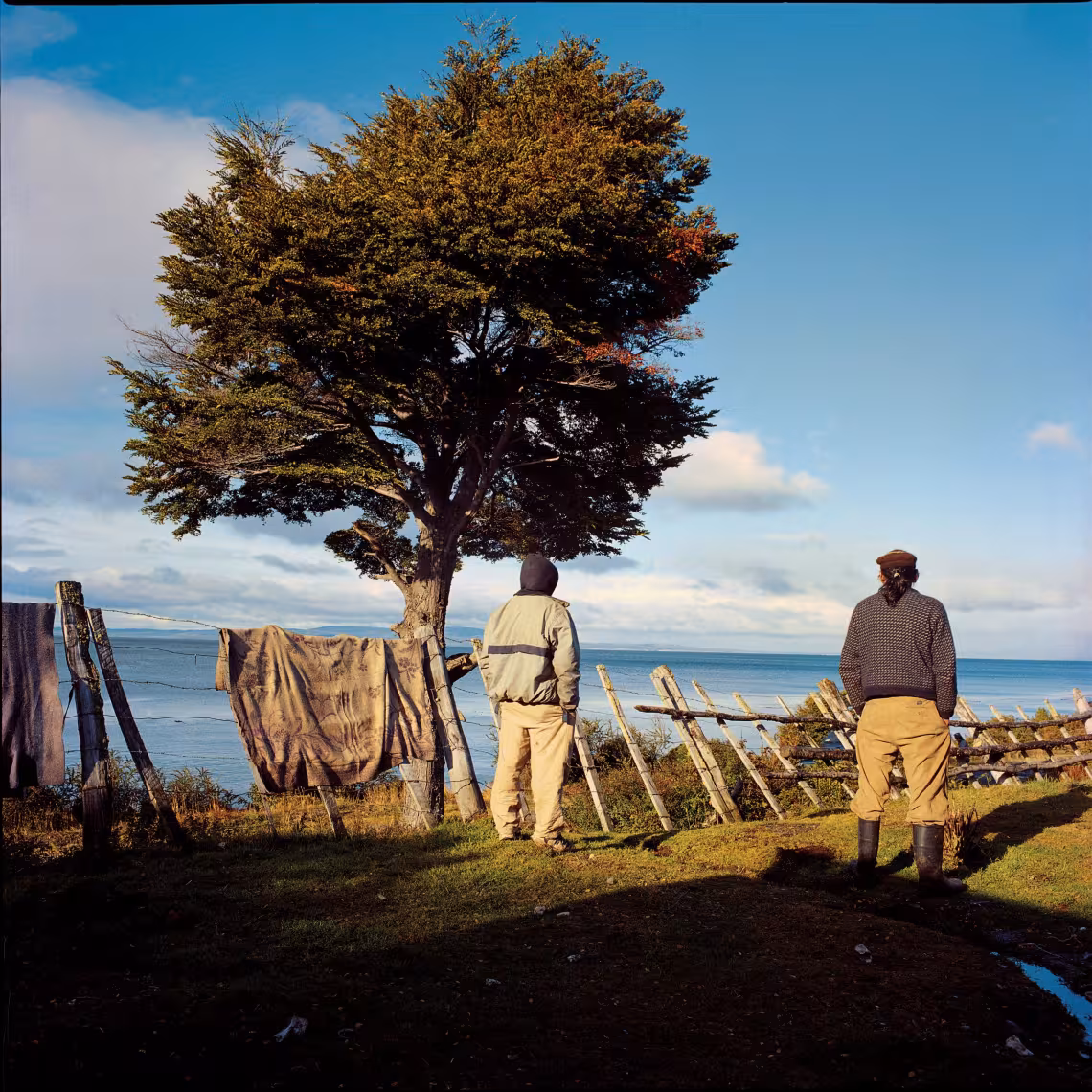 CHILI. Valdivia. 2007